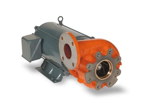 berkeley b3epbl centrifugal pump|belt driven centrifugal water pumps.